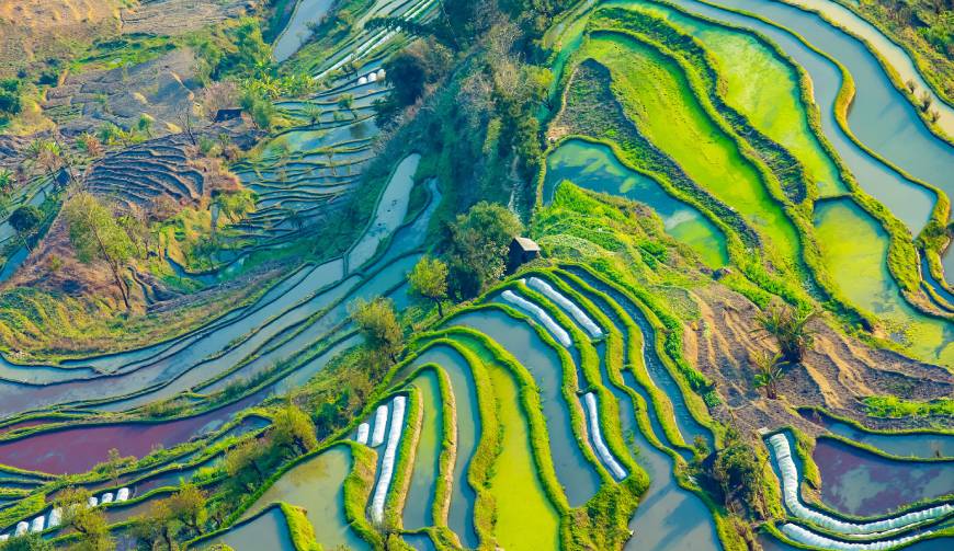 宝妈必备神器：渝中区产品视频拍摄轻松育儿好帮手
